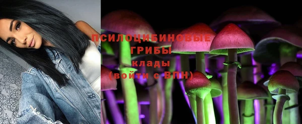 тгк Приозерск