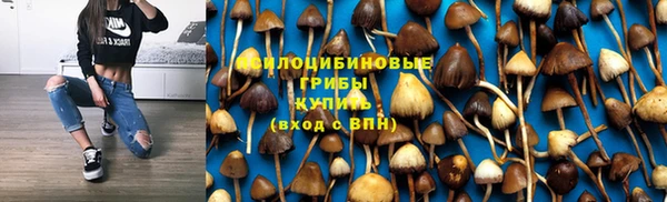 ECSTASY Заволжье