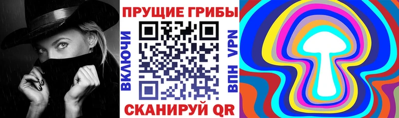 kraken онион  Саяногорск  Галлюциногенные грибы Magic Shrooms  цены наркотик 