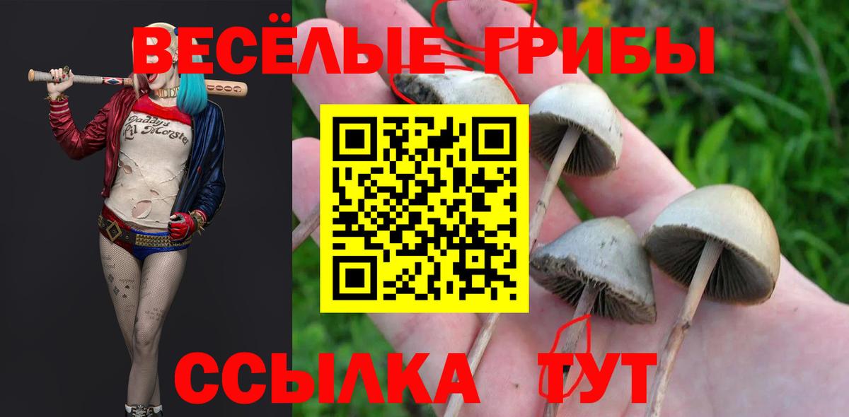 Галлюциногенные грибы MAGIC MUSHROOMS Саяногорск