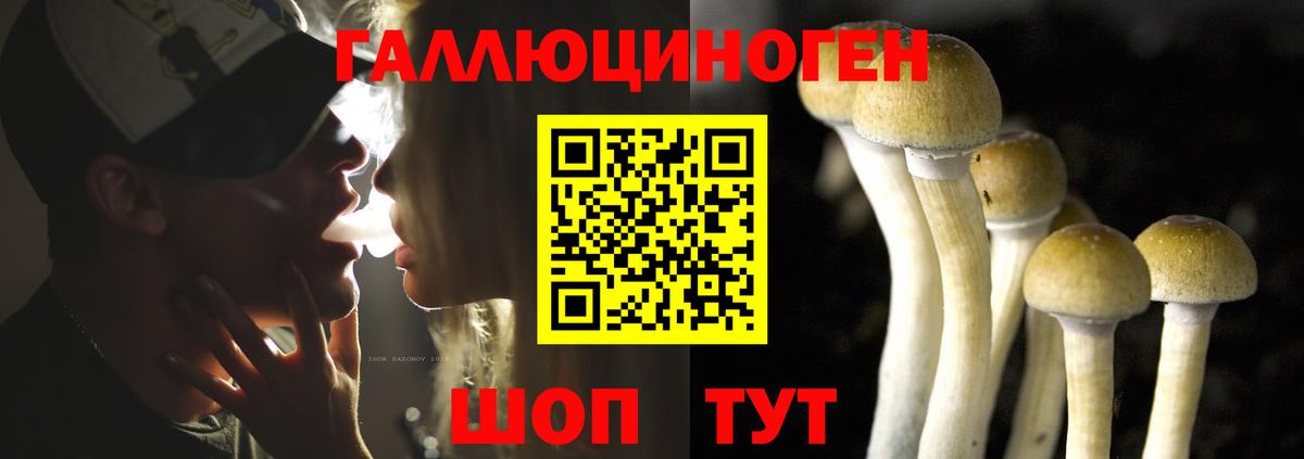 Саяногорск  Псилоцибиновые грибы прущие грибы  закладка  Вход с VPN 